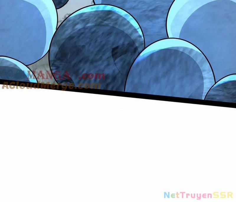 Đại Liên Minh Phản Xuyên Việt Của Bạo Quân 82 trang 114