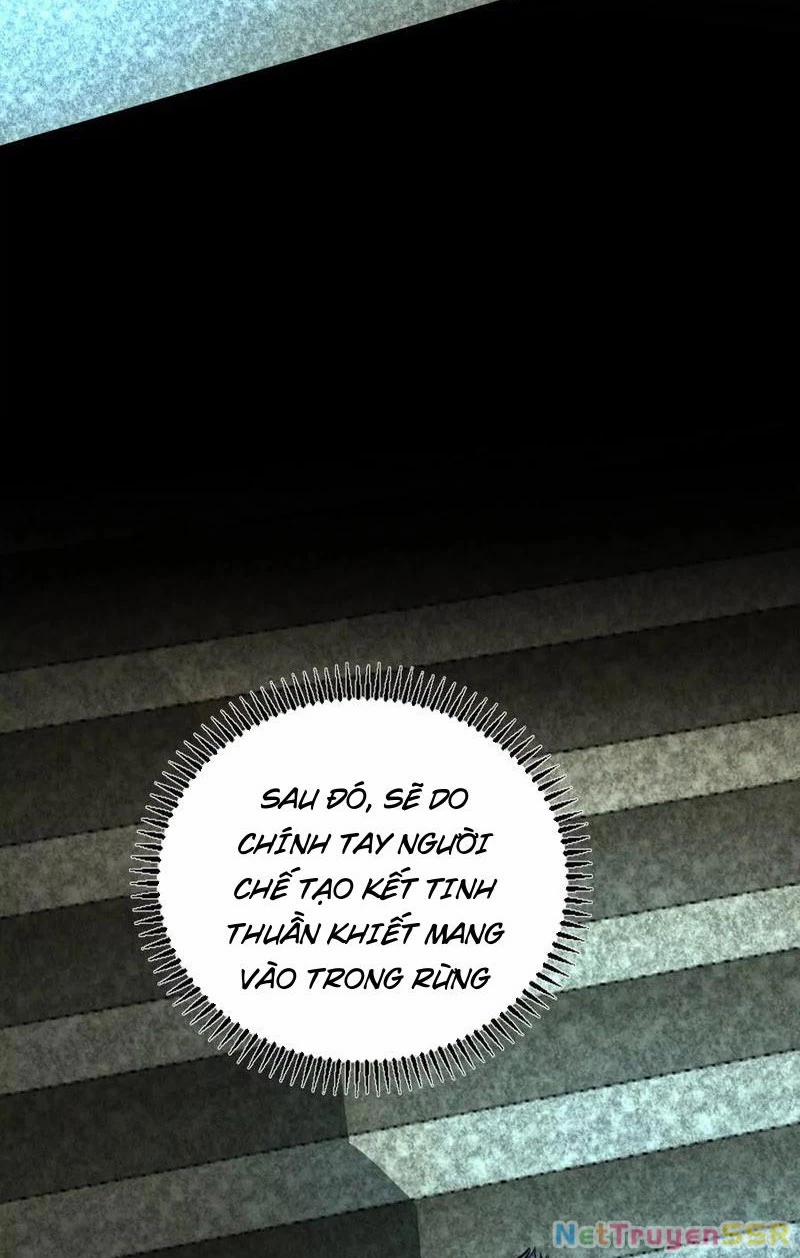 Đại Liên Minh Phản Xuyên Việt Của Bạo Quân 84 trang 22