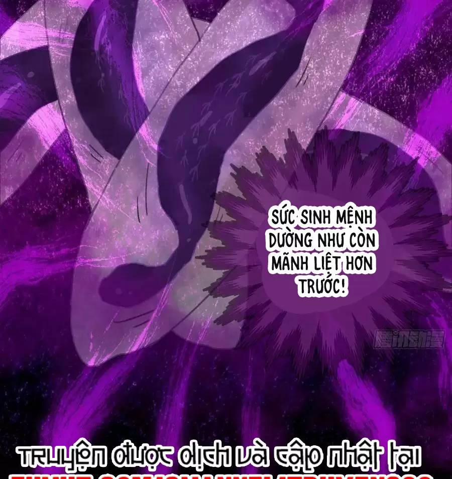 Đại Thừa Kỳ Mới Có Nghịch Tập Hệ Thống 12 trang 30