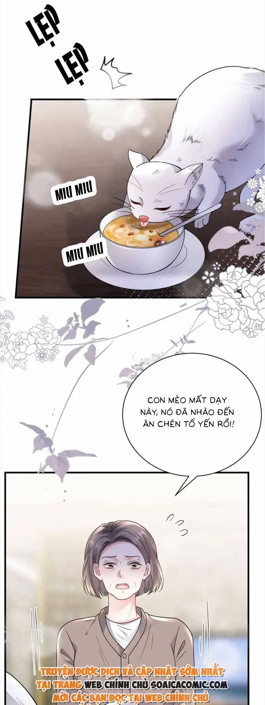 Đại Tiểu Thư Có Thể Có Ý Đồ Gì Đó 176 trang 22