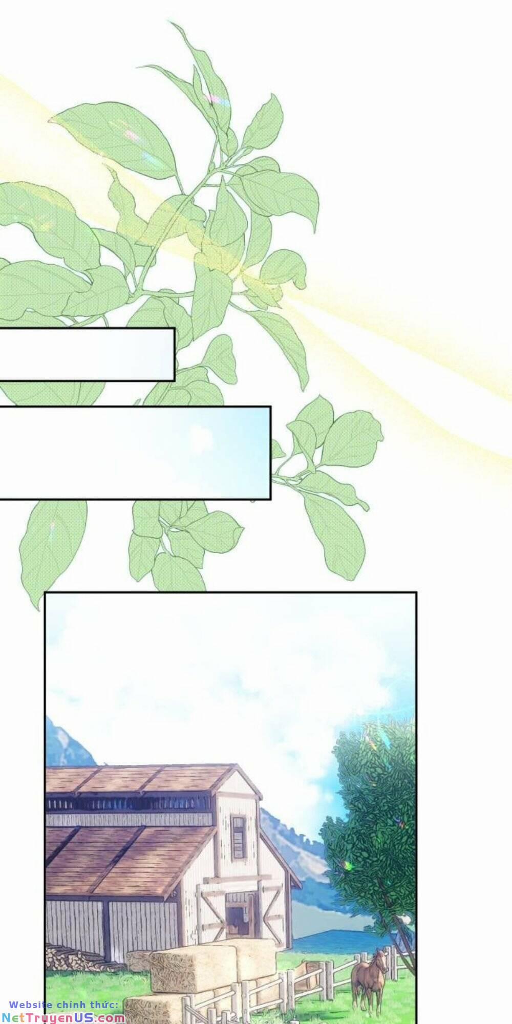 Đại Úy! Chiến Trường Lần Này Là Nơi Này Sao? 7.1 trang 24