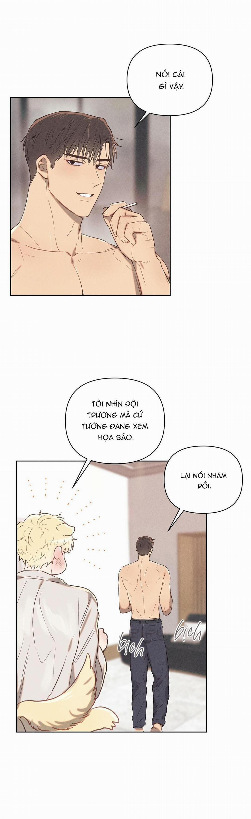 ĐẠI ÚY YÊU DẤU CỦA TÔI 13 trang 12