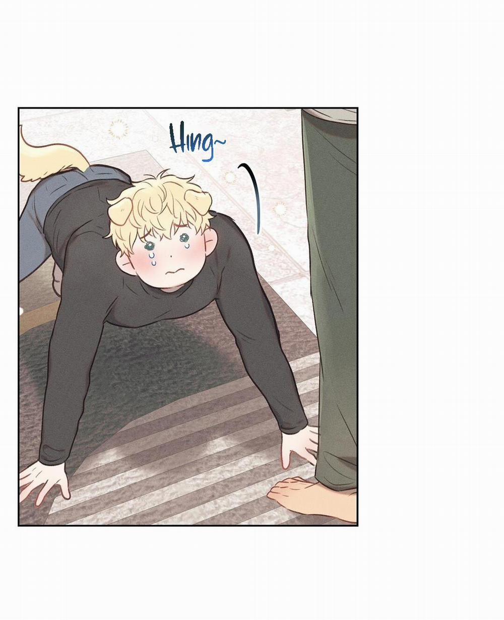 ĐẠI ÚY YÊU DẤU CỦA TÔI 16 trang 15