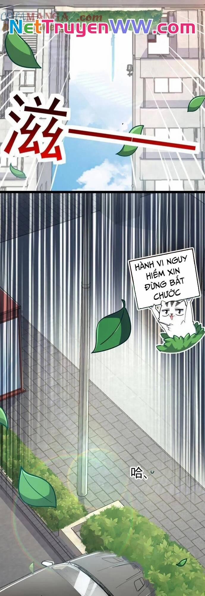 Đại Vương Tha Mạng 925 trang 19