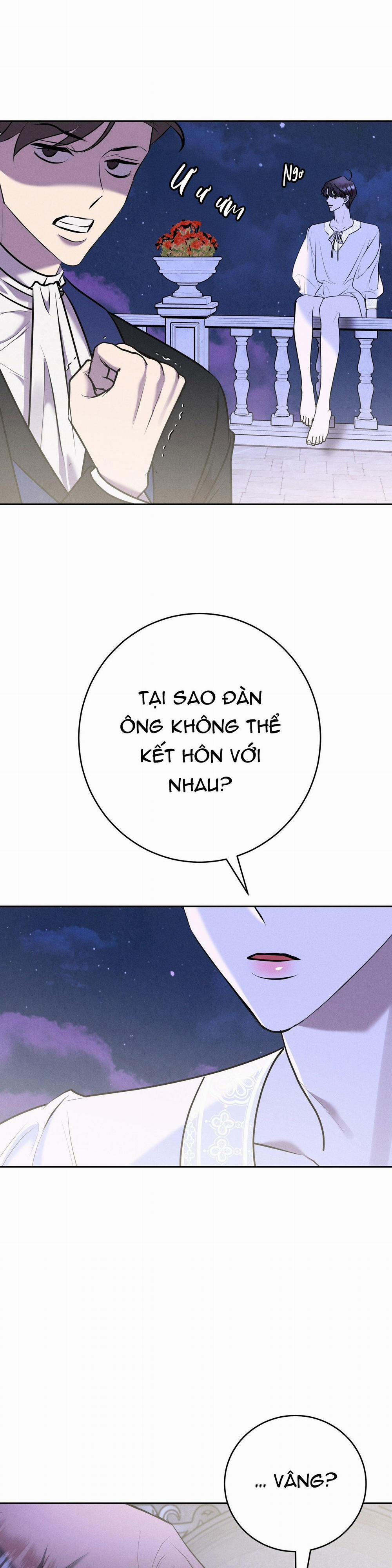 ĐÁM CƯỚI TAI TIẾNG 13 trang 3