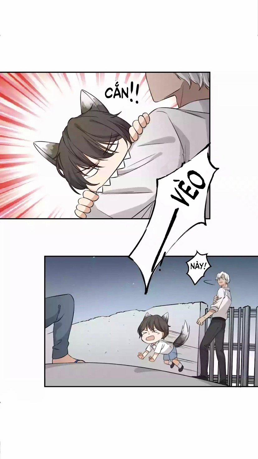 Dẫn Sói Vào Nhà 2 trang 29