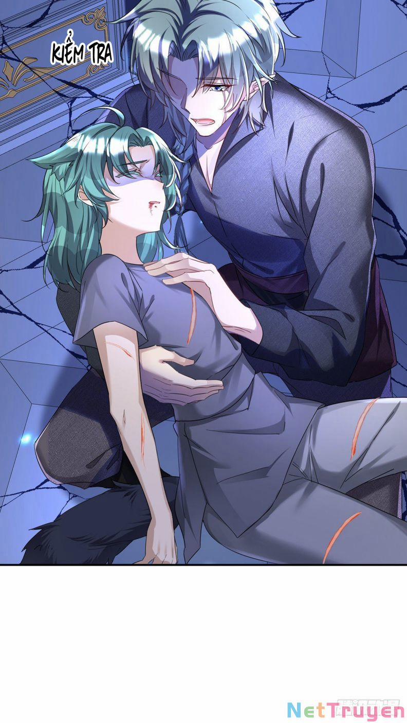 Dẫn Sói Vào Nhà 88 trang 11