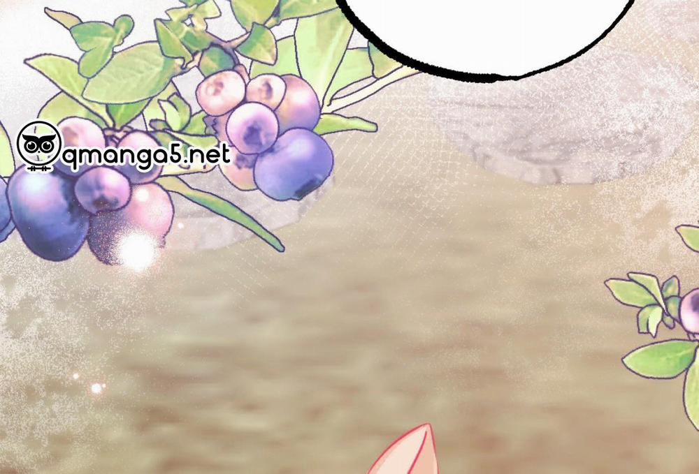 Đàn Thỏ Của Habibi 0 End trang 201