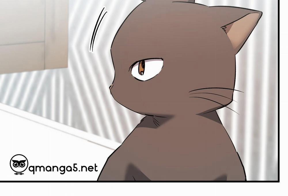 Đàn Thỏ Của Habibi 0 End trang 233