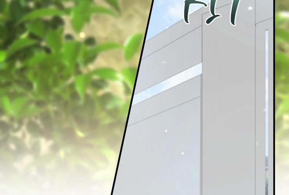 Đàn Thỏ Của Habibi 0 End trang 268