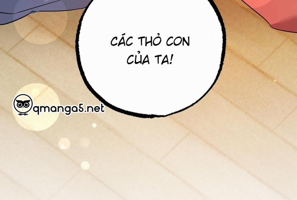 Đàn Thỏ Của Habibi 0 End trang 286