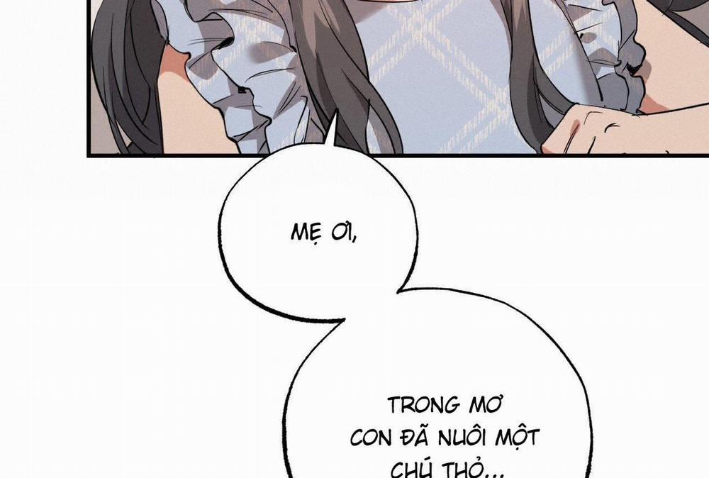 Đàn Thỏ Của Habibi 0 End trang 31