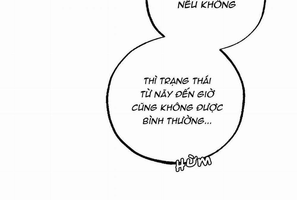 Đàn Thỏ Của Habibi 16 trang 11