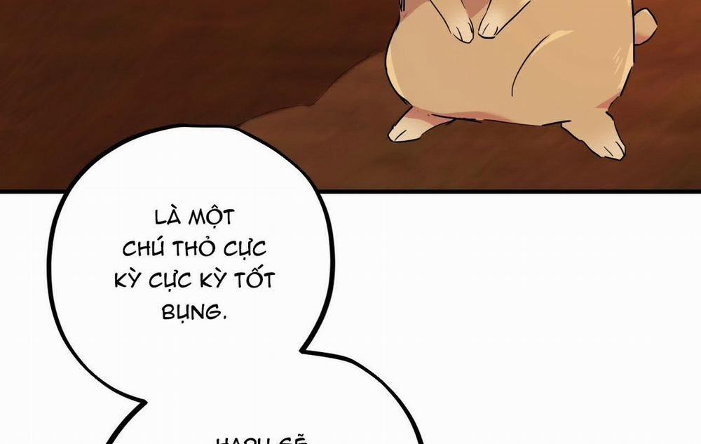 Đàn Thỏ Của Habibi 16 trang 127