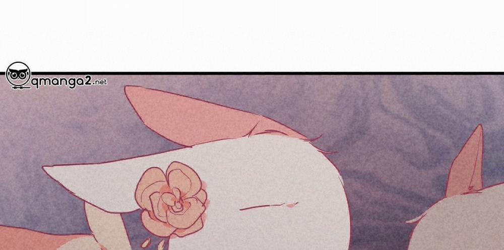 Đàn Thỏ Của Habibi 16 trang 174