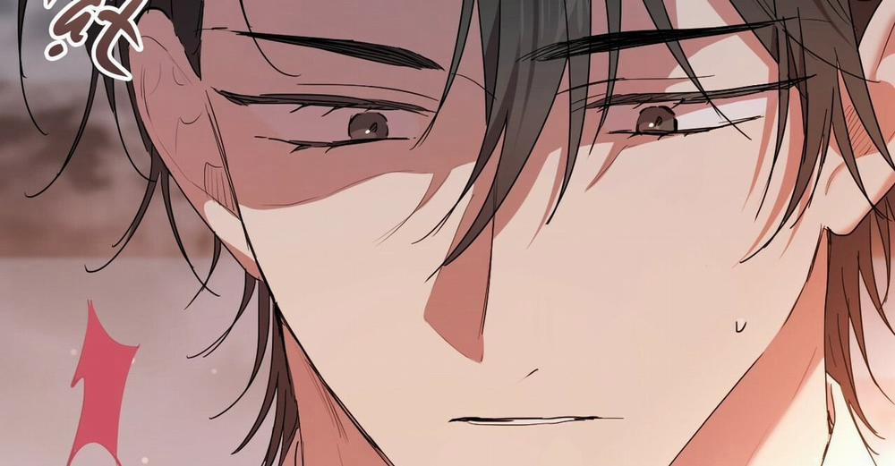 Đàn Thỏ Của Habibi 16 trang 191