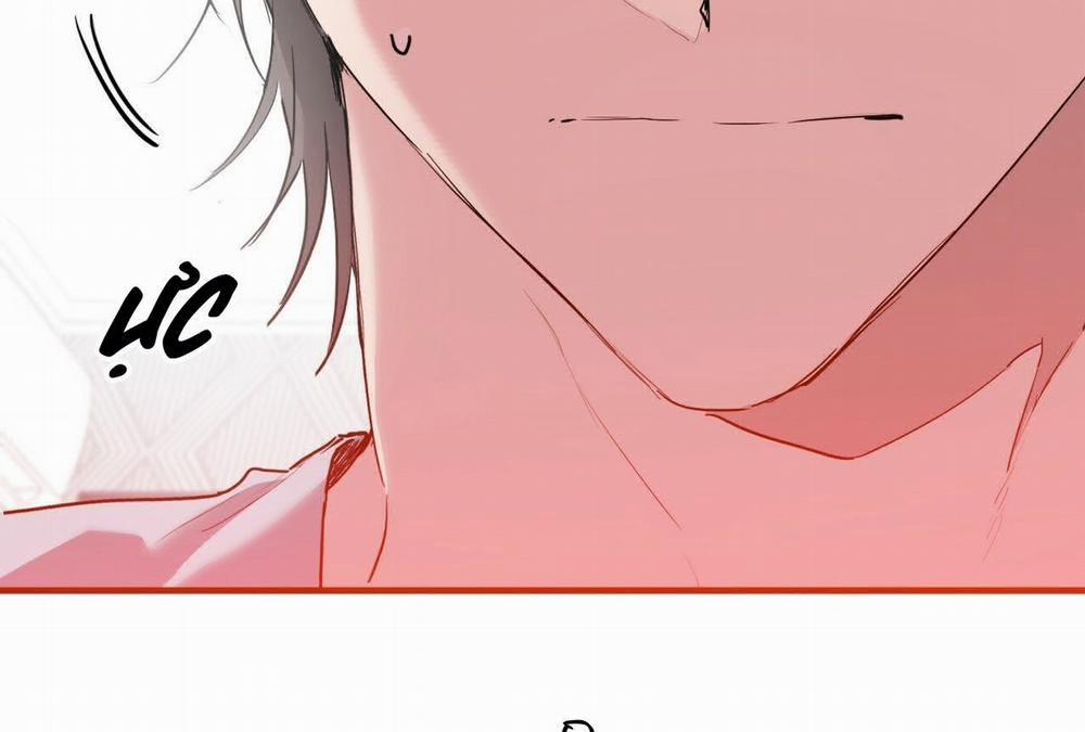 Đàn Thỏ Của Habibi 16 trang 2