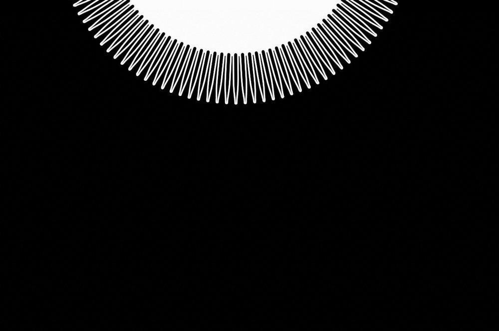 Đàn Thỏ Của Habibi 16 trang 208