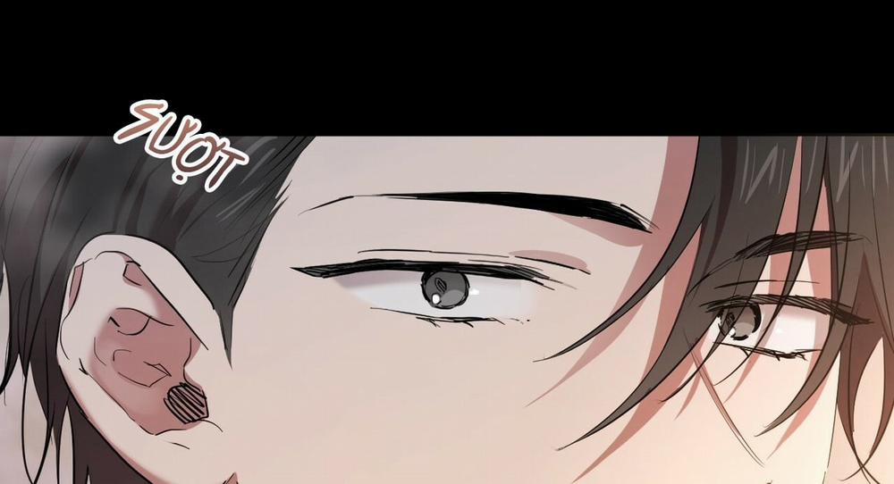 Đàn Thỏ Của Habibi 16 trang 215