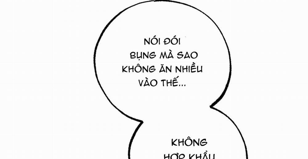 Đàn Thỏ Của Habibi 16 trang 22