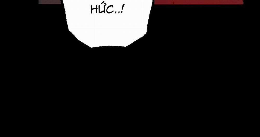 Đàn Thỏ Của Habibi 16 trang 256