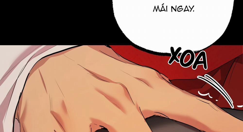 Đàn Thỏ Của Habibi 16 trang 274