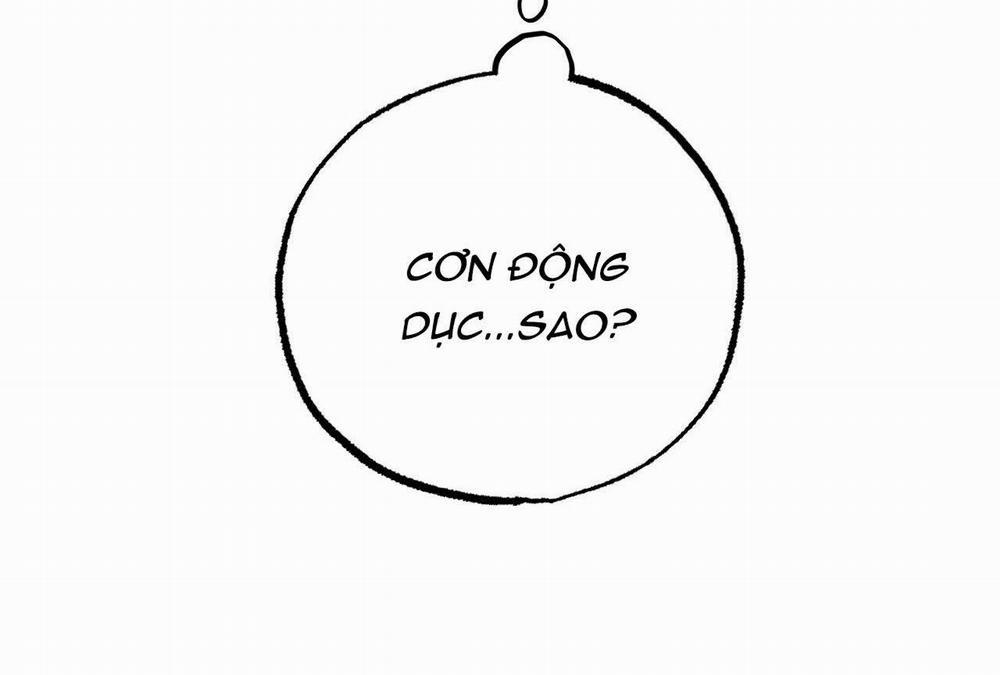 Đàn Thỏ Của Habibi 16 trang 3