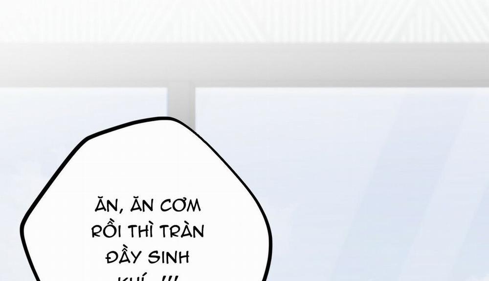 Đàn Thỏ Của Habibi 16 trang 43