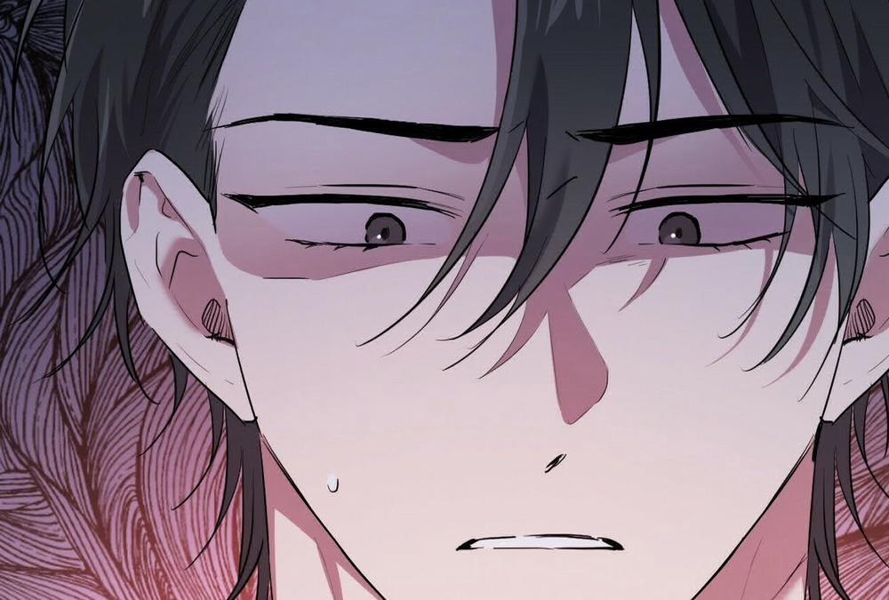 Đàn Thỏ Của Habibi 16 trang 5