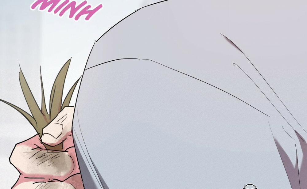 Đàn Thỏ Của Habibi 16 trang 67