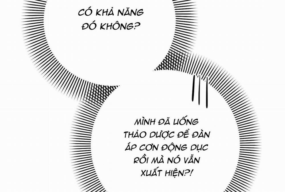 Đàn Thỏ Của Habibi 16 trang 7