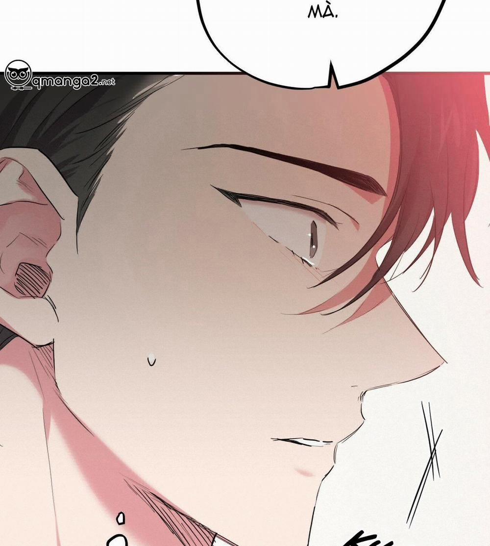 Đàn Thỏ Của Habibi 17 trang 111