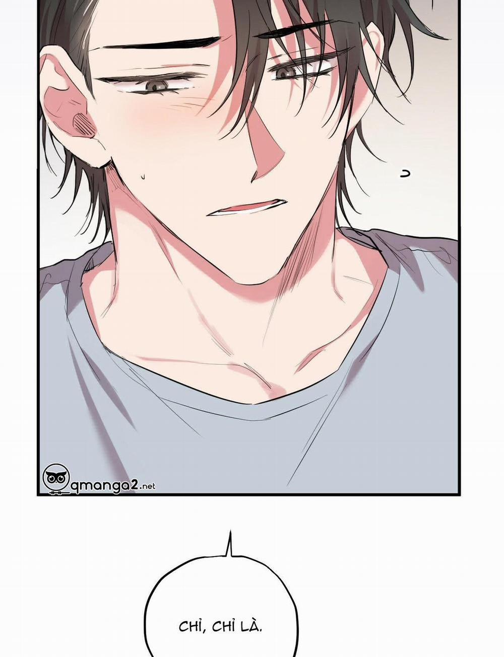 Đàn Thỏ Của Habibi 17 trang 119