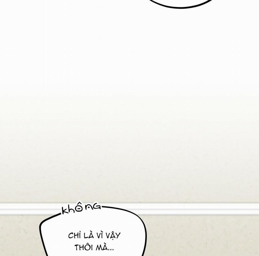 Đàn Thỏ Của Habibi 17 trang 131