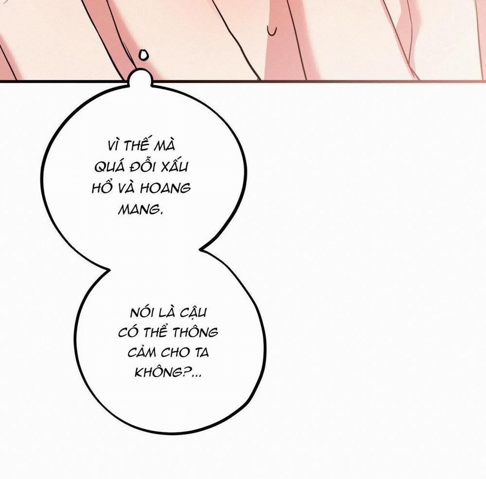 Đàn Thỏ Của Habibi 17 trang 144