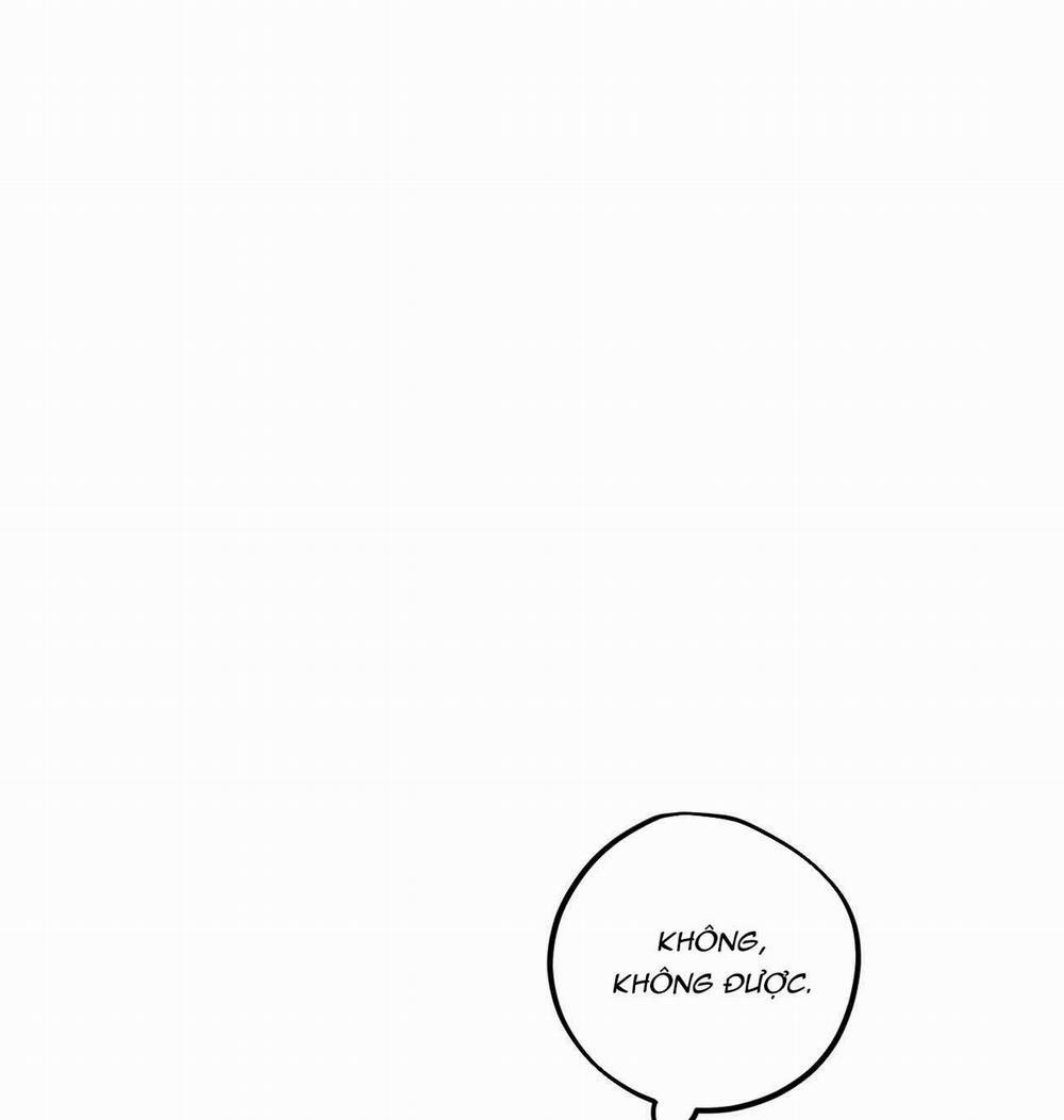 Đàn Thỏ Của Habibi 17 trang 145