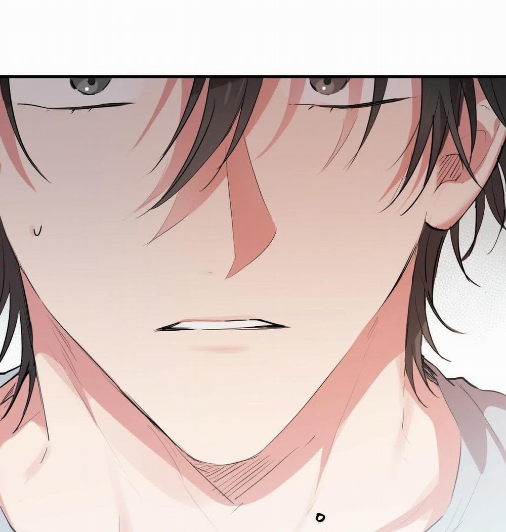 Đàn Thỏ Của Habibi 17 trang 148