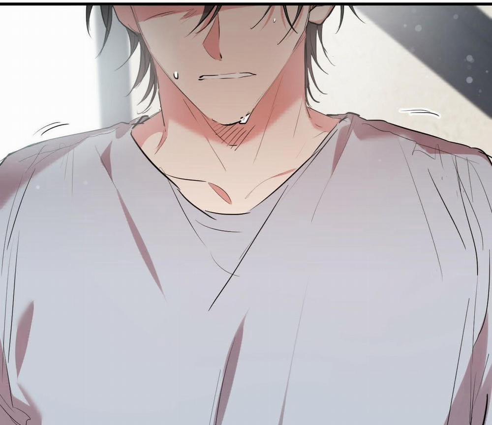 Đàn Thỏ Của Habibi 17 trang 18