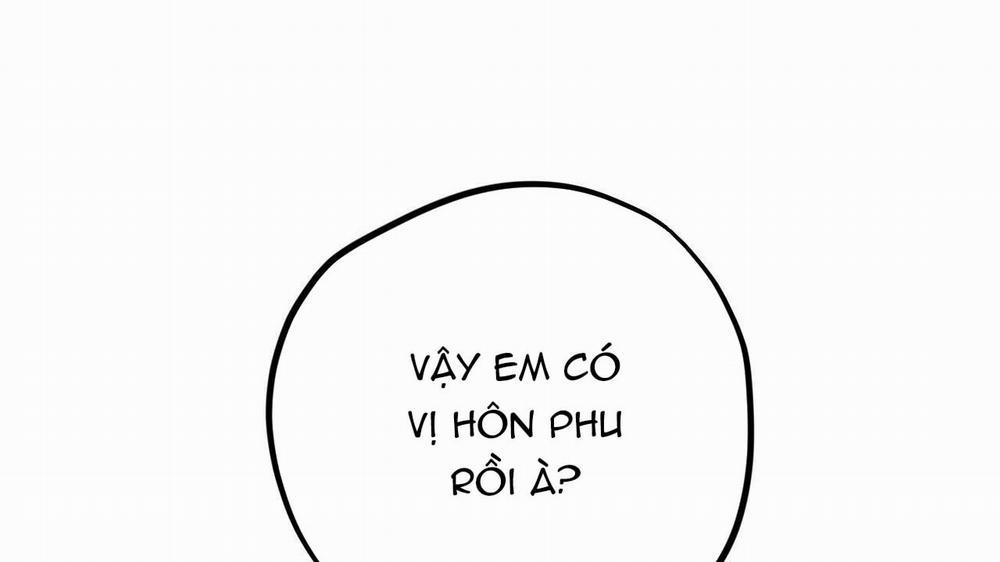 Đàn Thỏ Của Habibi 17 trang 186