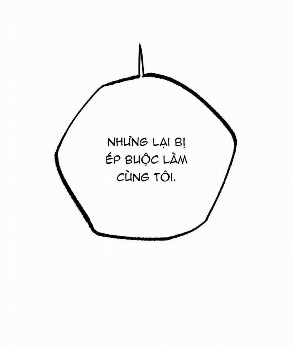 Đàn Thỏ Của Habibi 17 trang 206