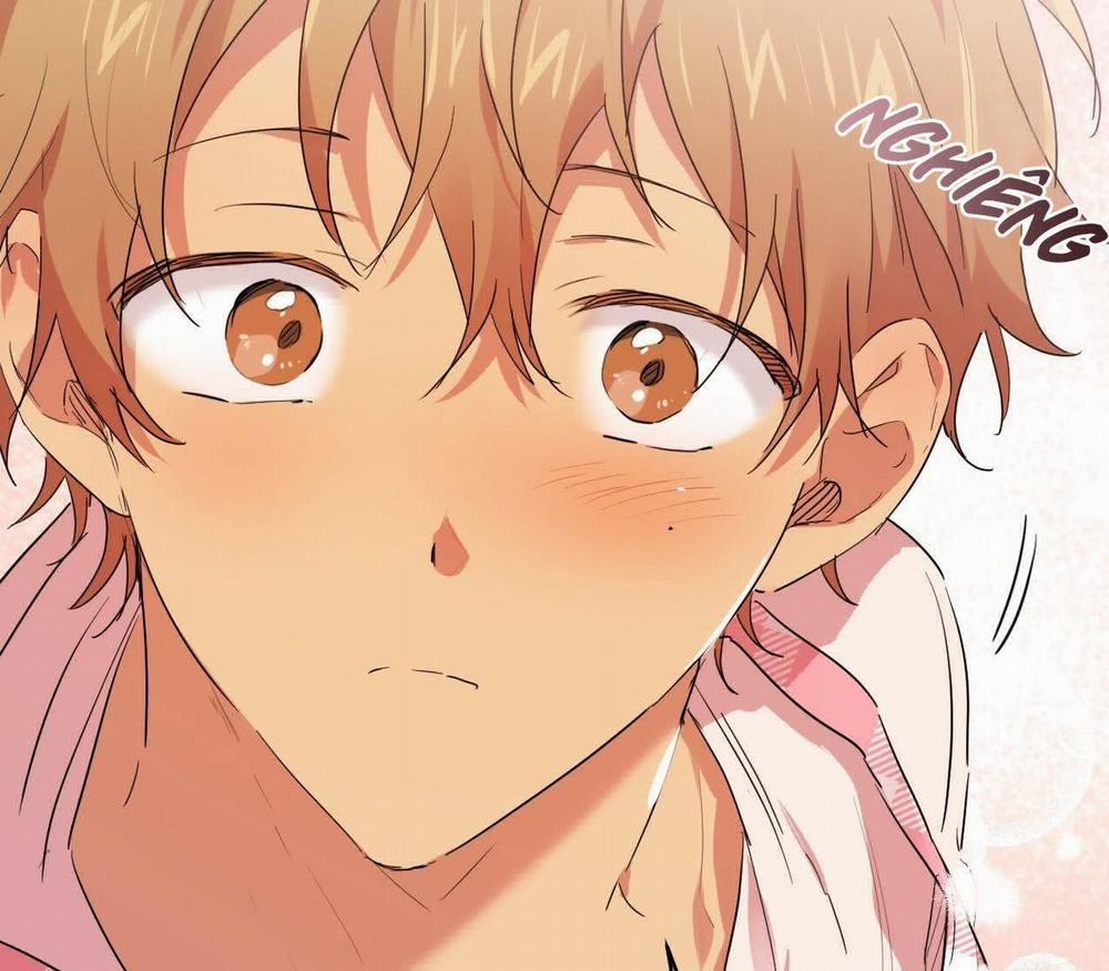 Đàn Thỏ Của Habibi 17 trang 41