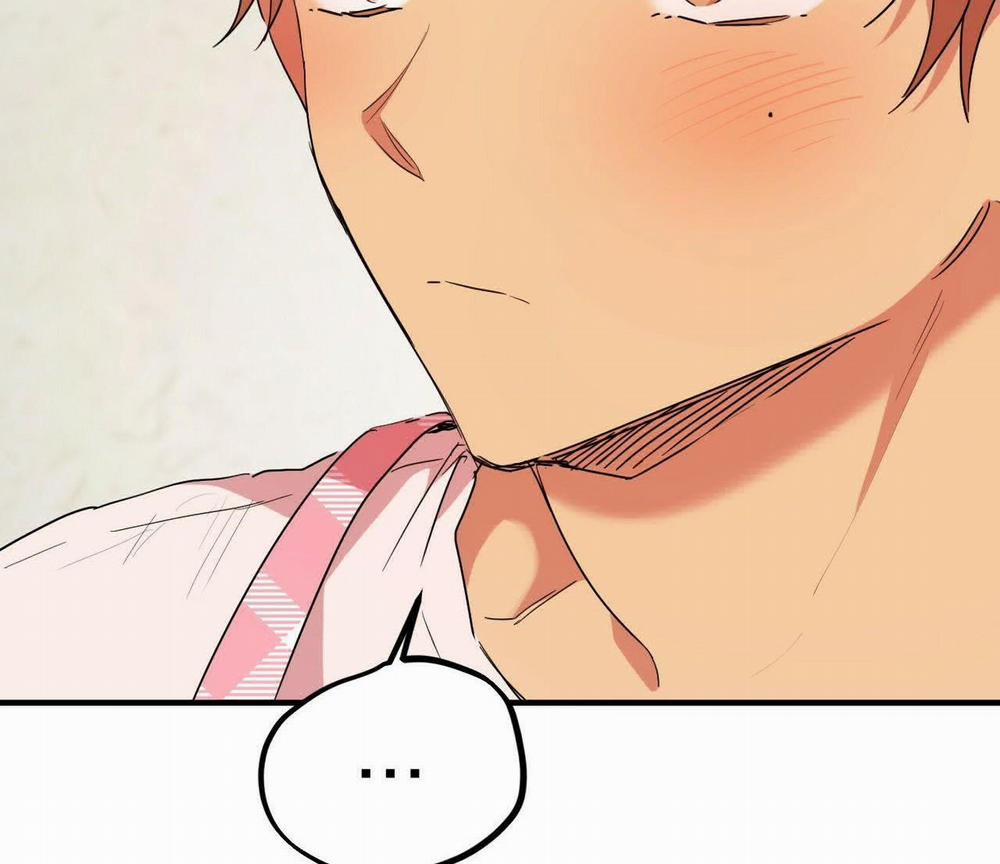 Đàn Thỏ Của Habibi 17 trang 53