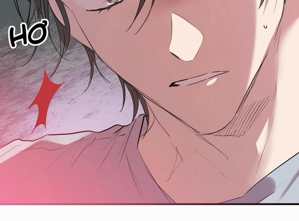 Đàn Thỏ Của Habibi 17 trang 74