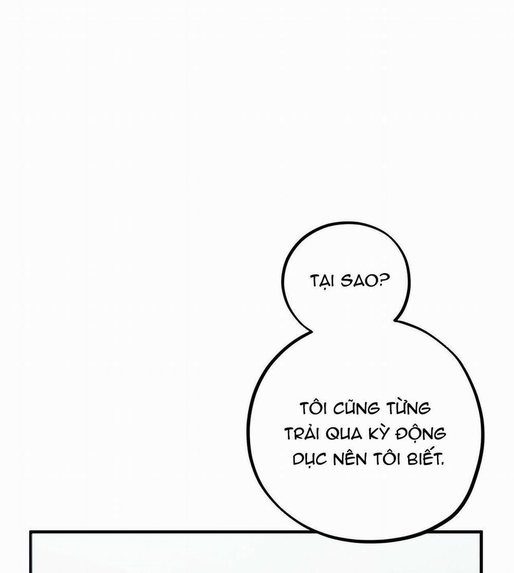 Đàn Thỏ Của Habibi 17 trang 99