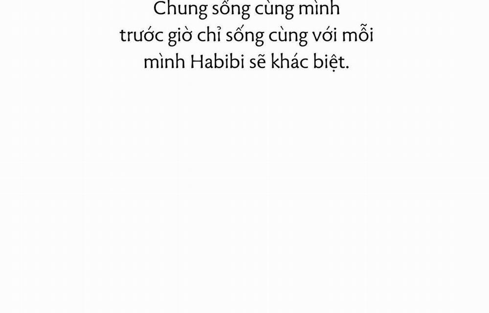 Đàn Thỏ Của Habibi 18 trang 16