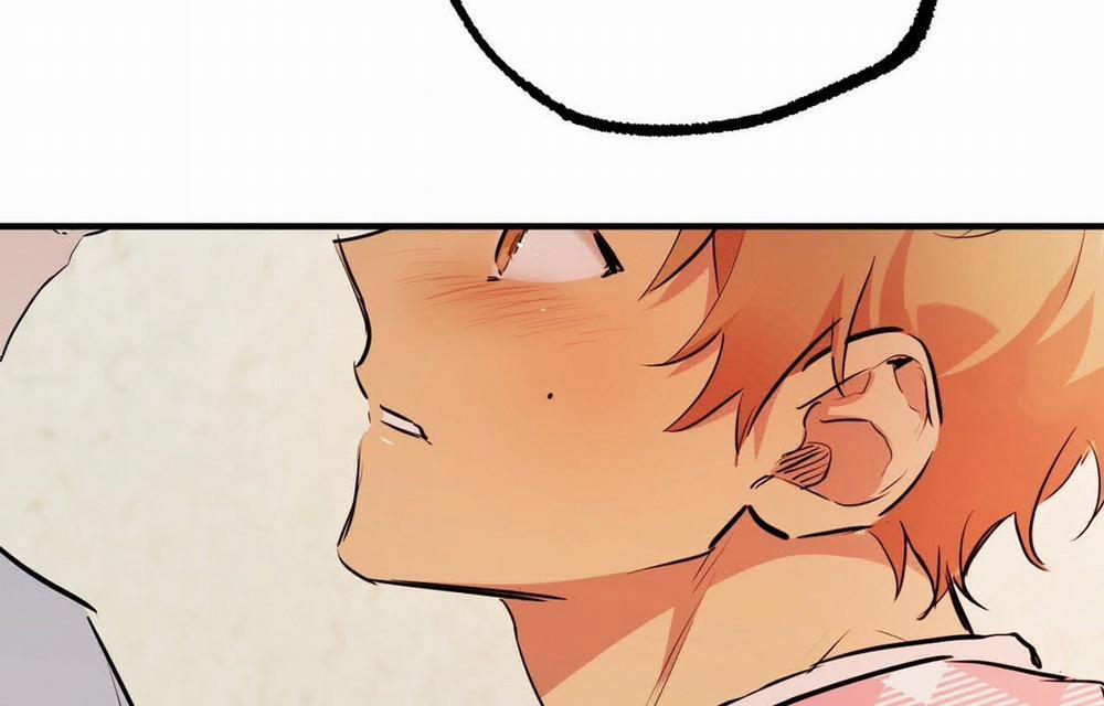 Đàn Thỏ Của Habibi 18 trang 2