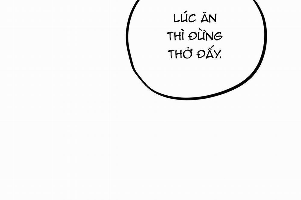 Đàn Thỏ Của Habibi 18 trang 211