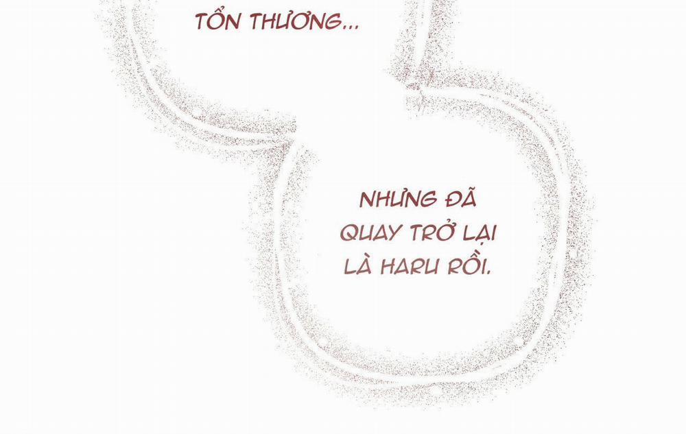 Đàn Thỏ Của Habibi 18 trang 256