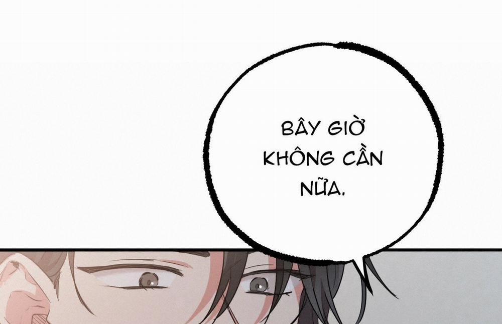 Đàn Thỏ Của Habibi 18 trang 282