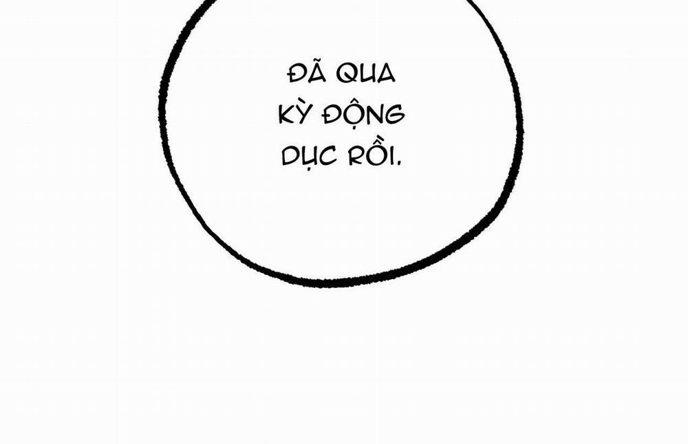 Đàn Thỏ Của Habibi 18 trang 291